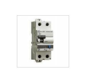 L&T 63A 100mA 2P RCCB, AURAD206310